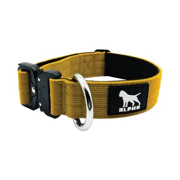 Dog collar 3cm