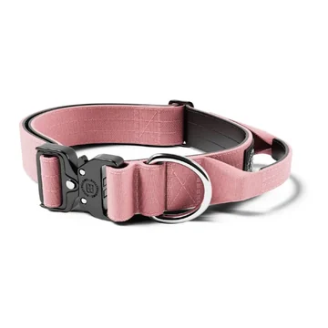 Dog collar 4cm