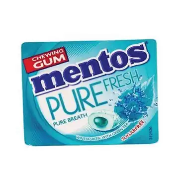 Mentos pure fresh (wintergreen) gum 14g